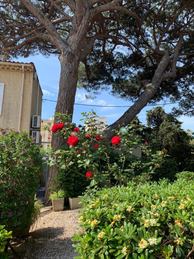 Hotel Beau Rivage Le Lavandou Exteriér fotografie